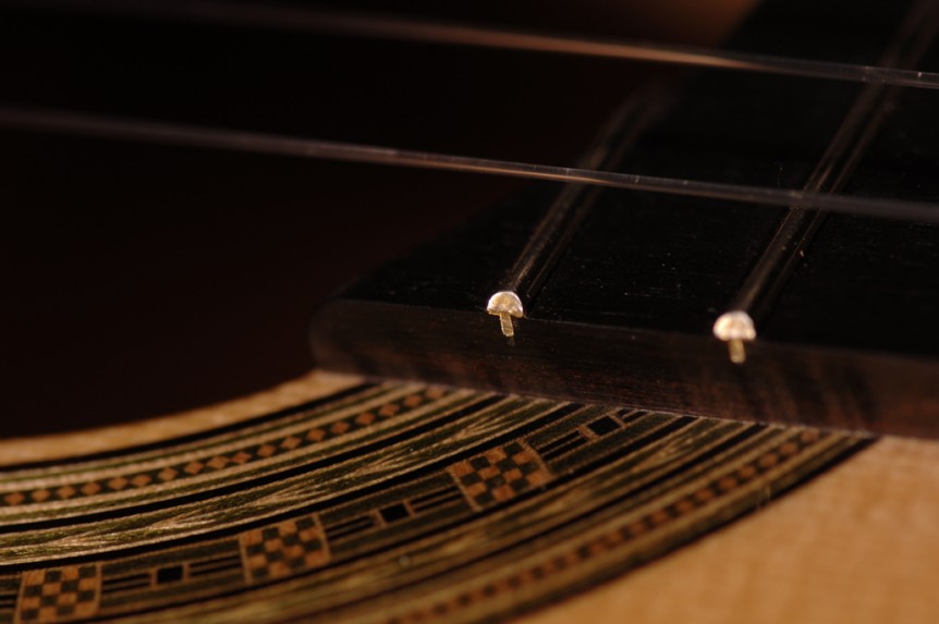 Daryl Perry Classical Guitars