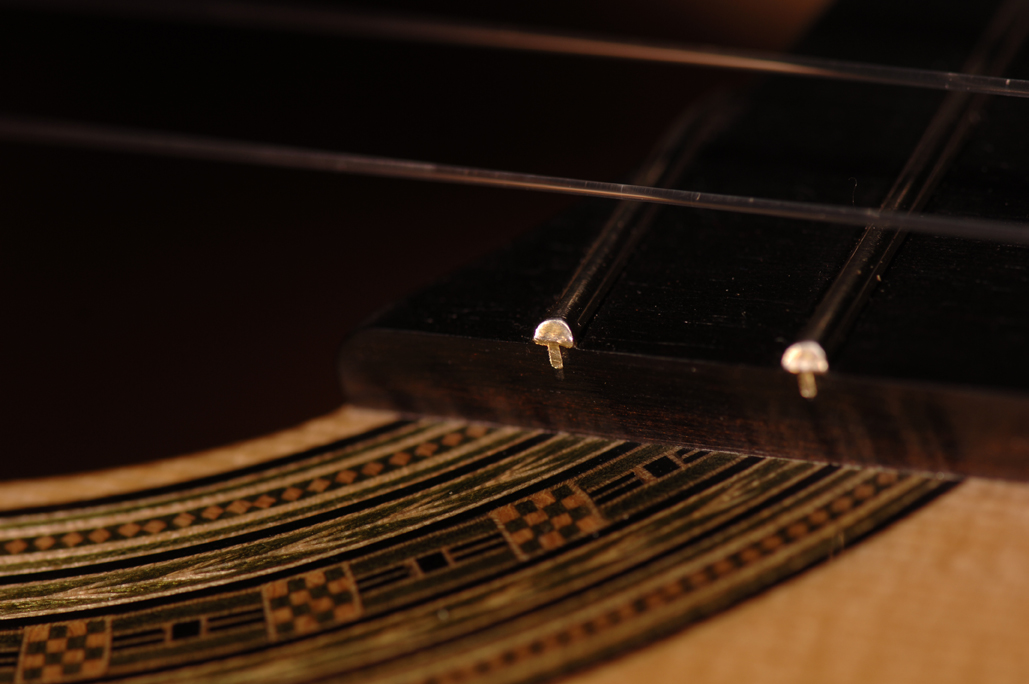 Daryl Perry Classical Guitars